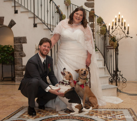 Morris Animal Inn's Pet Services For Weddings in Morristown NJ